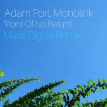 Mass Digital – Point Of No Return (Mass Digital Remix)