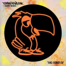 Turner Blink – The Guns