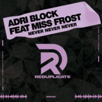 Adri Block – Never Never Never Feat. Miss Frost