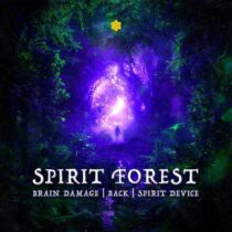 Brain Damage, Spirit Device, Back (BR), Brain Damage, Back (BR), Spirit Device – Spirit Forest