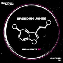 Brendan James – Hallucinate