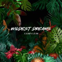 AydinAT;01 – Wildest Dreams