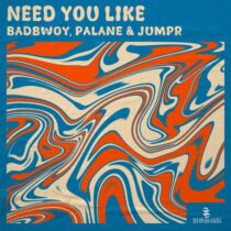 Palane, Badbwoy, Jumpr – Need You Like