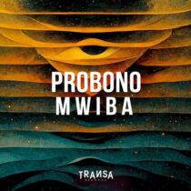 ProBono – Mwiba