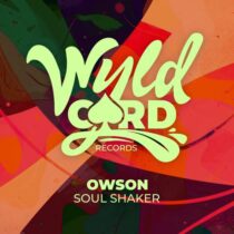 Owson – Soul Shaker