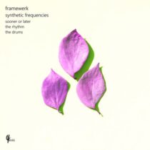 Framewerk – Synthetic Frequencies