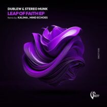 STEREO MUNK, Dublew – Leap of Faith