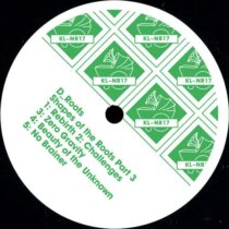 D_Roots – Shapes of The Roots, Pt. 3