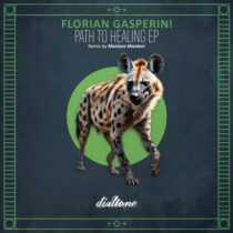 Florian Gasperini – Path to Healing