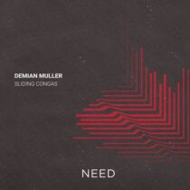 Demian Muller – Sliding Congos