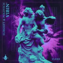 SUBSHIFT, POLOVICH – Vibin’
