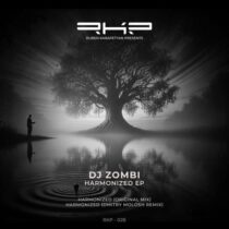 DJ Zombi – Harmonized