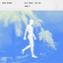 Billy Sherif, SOG (US) – SHAKE IT (Extended Mix)