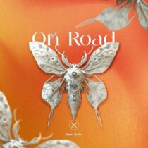 Ozan Gullu – On Road