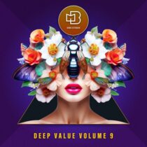 VA – Deep Value, Vol. 9 (Incl. Dj Mix)