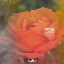 Limetra – Flower