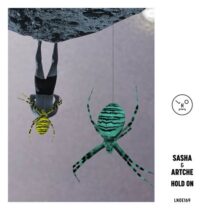 Artche, Sasha – Hold On