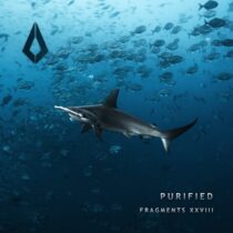 VA – Purified Fragments XXVIII