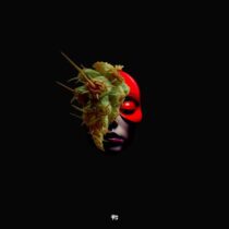 Mosher, Sebastian Mora – Situation
