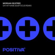 Sub Focus, Morgan Seatree – Say My Name (Sub Focus Remix)