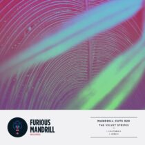 The Velvet Stripes – Mandrill Cuts 029