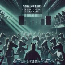 Tony Metric – Can’t Get You Out of My Head