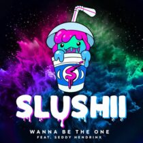 Slushii – Wanna Be The One (feat. Seddy Hendrinx)