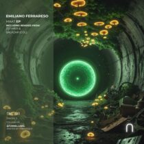 Emiliano Ferrareso – Maat