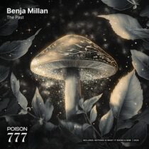 benja millan – The Past