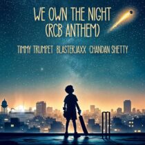 Blasterjaxx & Chandan Shetty, Timmy Trumpet – We Own The Night (feat. Chandan Shetty)  (Extended Mix)