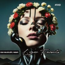 Kate, Dean Walker, VANDAM – Lugar Favorito