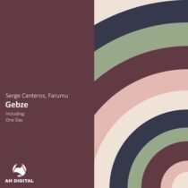 Serge Canteros, Farumu – Gebze