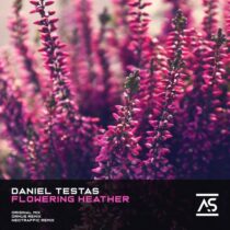 Daniel Testas – Flowering Heather