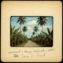 Merchant, Damon DeGraff, GBM Nutron – Down Di Road