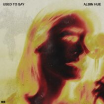 Albin Hue – Used To Say