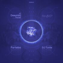 Linus R, Subscrypt, DJ Tuttle, Forteba – Ring 5 EP