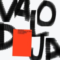 Steve Angello, AN21, Liva K – Valodja (Liva K Remix) (Extended Mix)