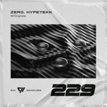 DJZERO, HypeTekk – Willingness