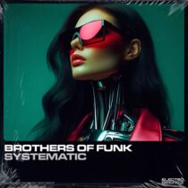 Brothers Of Funk – Systematic