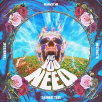 Destructo, MxNxSTxR – What You Need (feat. Thundercat & Channel Tres)