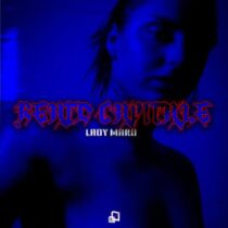 Lady Maru – Reato Capitale