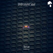 Undrsound Soul – Strive