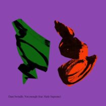 Dam Swindle & Haile Supreme – Not Enough (feat. Haile Supreme)