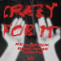 Rampa, Adam Port, &ME, Boys Noize, Vinson, Keinemusik – Crazy For It (Extended Mix) – STEMS