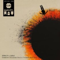 VA – Comatose (Silicone Soul & Prinze’s Acid Dub)