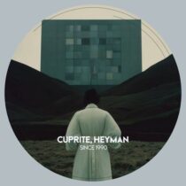 Heyman, Cuprite – Since 1990