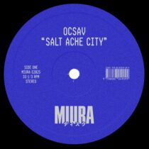 Ocsav – Salt Ache City