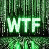 Groove Delight – WTF