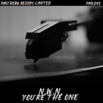 N.W.N. – You’re The One