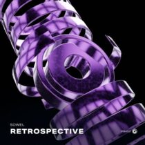Sowel – Retrospective